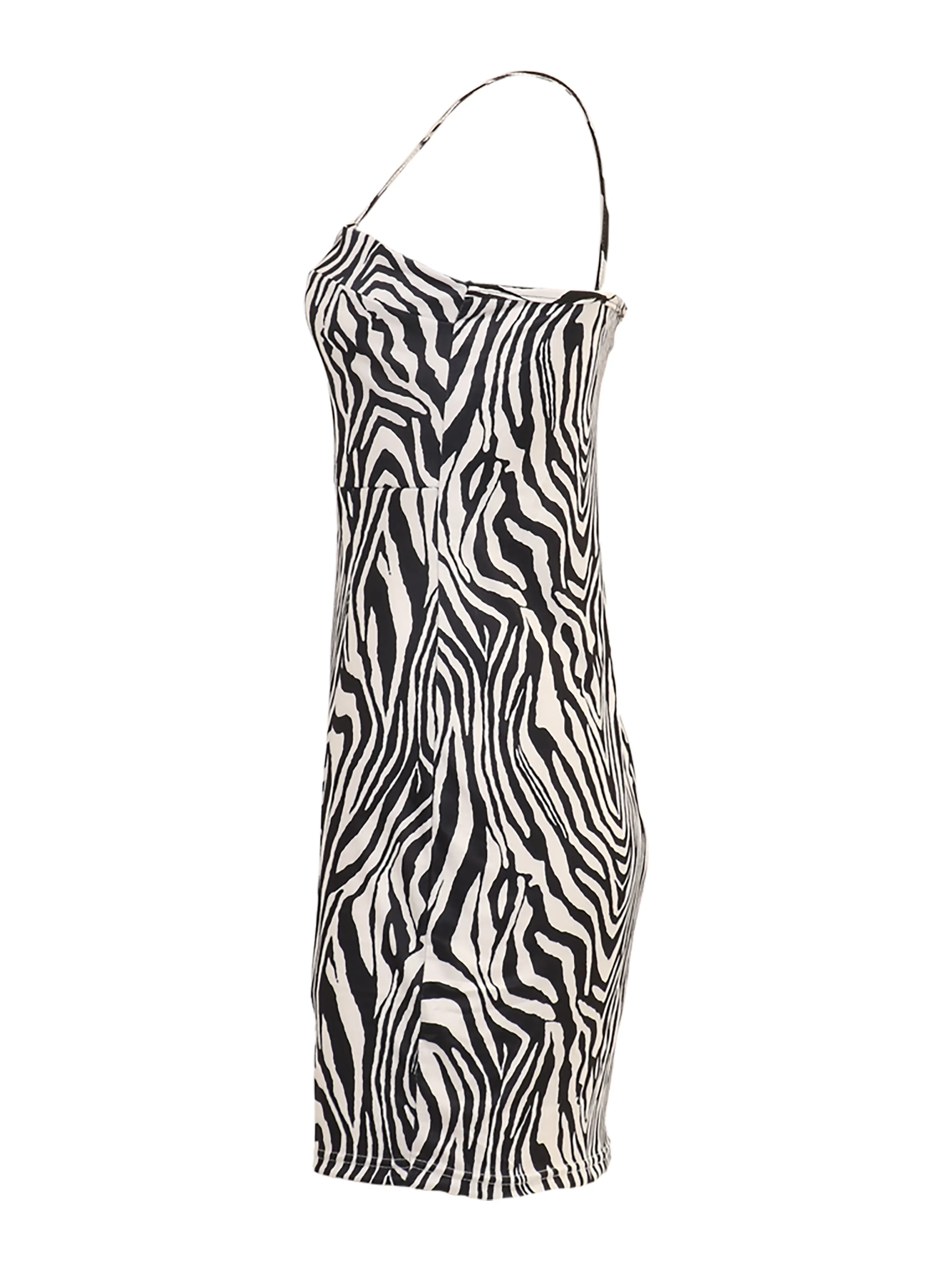 Animal Print Mini Dress
