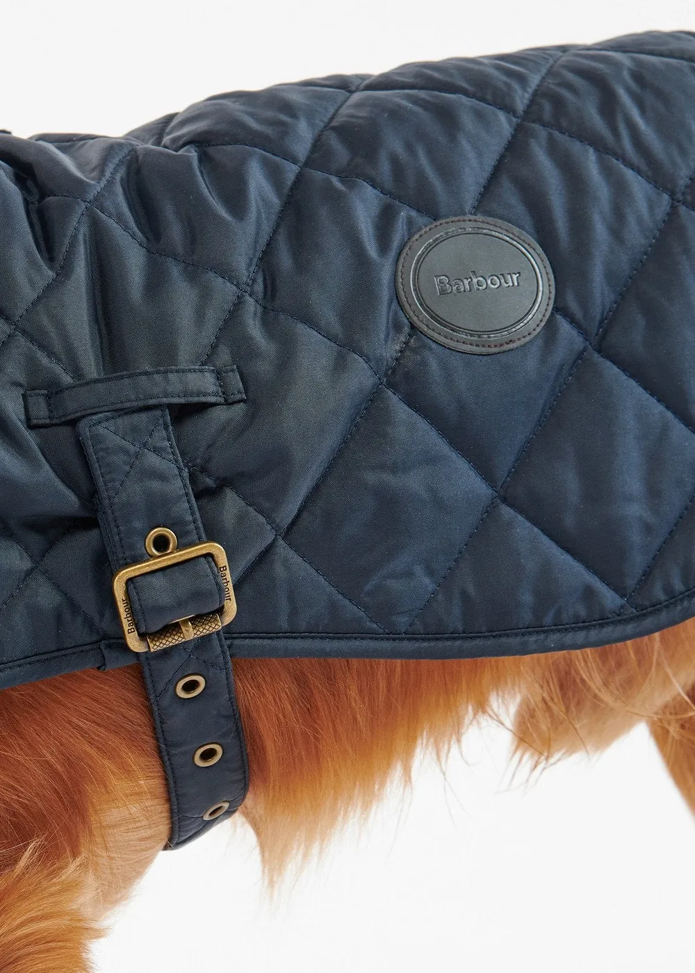 Quilted Dog Coat